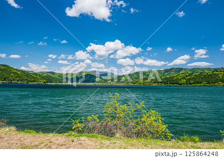 初夏の余呉湖　滋賀県長浜市余呉町 125864248