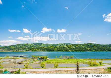 初夏の余呉湖畔川並地区の水田風景 滋賀県長浜市余呉町 初夏の余呉湖畔川並地区の水田風景 滋賀県長浜市余呉町 125864262