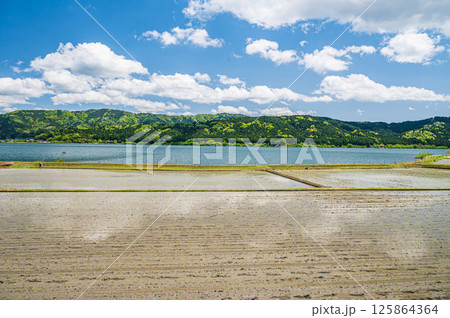 初夏の余呉湖畔川並地区の水田風景　滋賀県長浜市余呉町 125864364