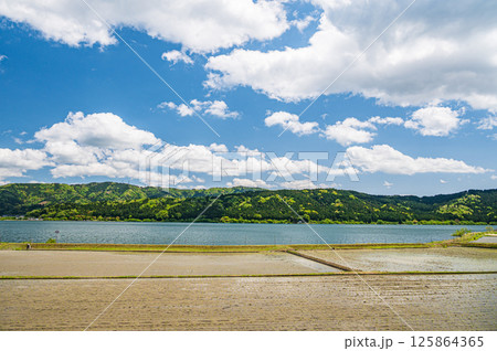 初夏の余呉湖畔川並地区の水田風景　滋賀県長浜市余呉町 125864365