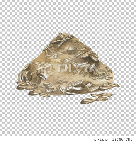 Cumin seed pile watercolor illustration. Hand drawn Eastern cuisine condiment clipart, natural spices food painting for menu, recipe book, product packing design 125864790