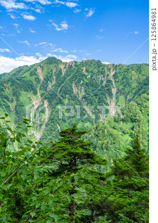 北アルプス 後立山連峰 鳴沢岳 針ノ木サーキット登山 北アルプス 後立山連峰 鳴沢岳 針ノ木サーキット登山 125864981