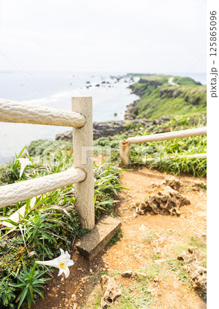 青空の東平安名崎とテッポウユリ 125865096