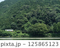 深緑に包まれたローカル線の夏 125865123