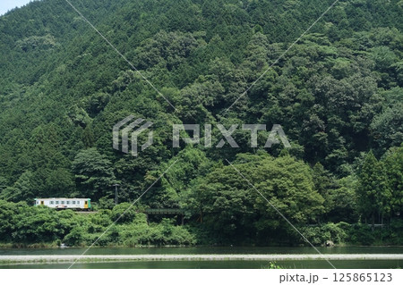 深緑に包まれたローカル線の夏 125865123
