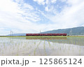 初夏の水田を走る赤いローカル列車 125865124