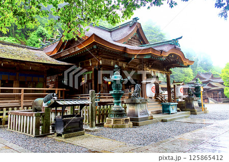 【香川】初夏の金刀比羅宮　雨の中の三穂津姫社 125865412
