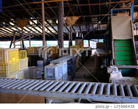 物流センター　コンベア 125866438