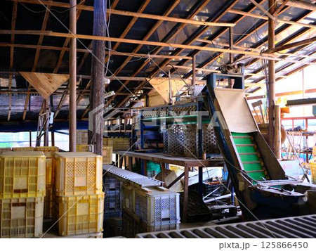 物流センター　コンベア 125866450