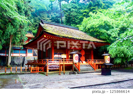【香川】初夏の金刀比羅宮　雨の中の白峰神社 125866614