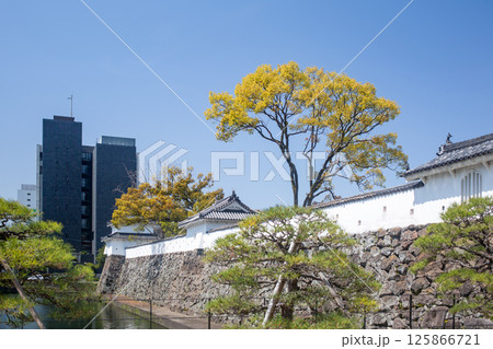 府内城趾と大分市役所庁舎 125866721