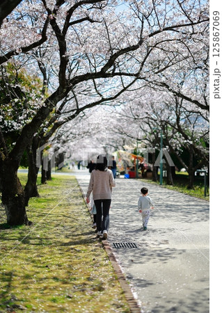 桜の咲く公園を歩く恋人 125867069