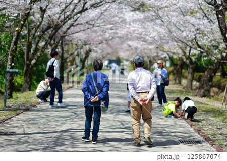 桜の咲く公園を歩く恋人 125867074
