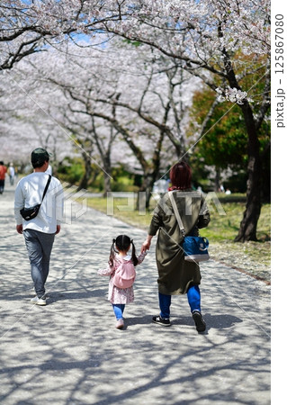 桜の咲く公園を歩く恋人 桜の咲く公園を歩く恋人 125867080