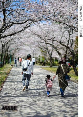 桜の咲く公園を歩く恋人 125867081