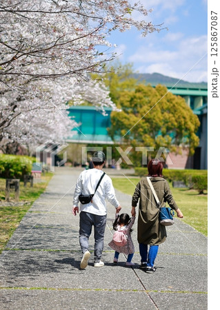 桜の咲く公園を歩く恋人 桜の咲く公園を歩く恋人 125867087