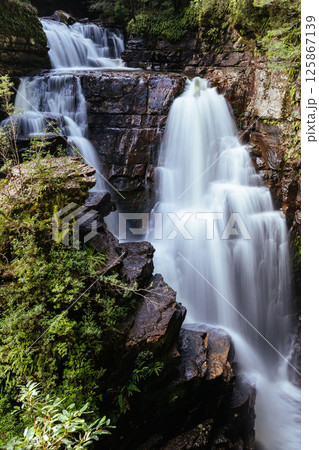 D'Alton Falls in Tasmania Australia 125867139