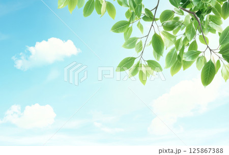 Blue sky and white clouds with green leaves in foreground, suitable for background 125867388