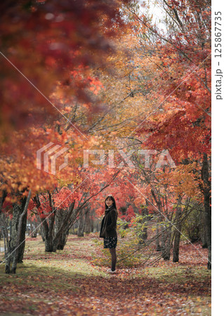 Southeast asian woman stands peacefully in forest filled with vibrant autumn leaves creating warm and serene atmosphere surrounded by colorful trees and fallen foliage 125867735