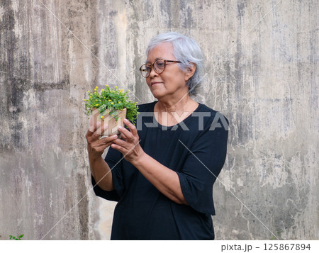 Old Asian senior woman happy smiling while Holding plant trees pot relaxing in garden. Old Asian senior woman happy smiling while Holding plant trees pot relaxing in garden. 125867894