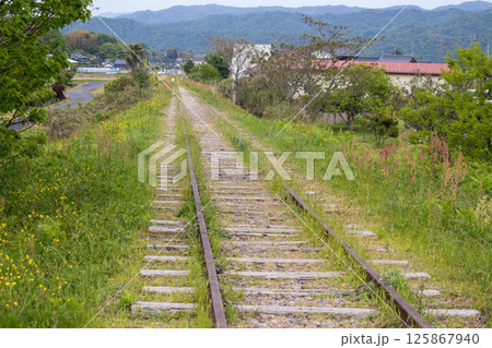 旧国鉄倉吉線廃線跡 125867940