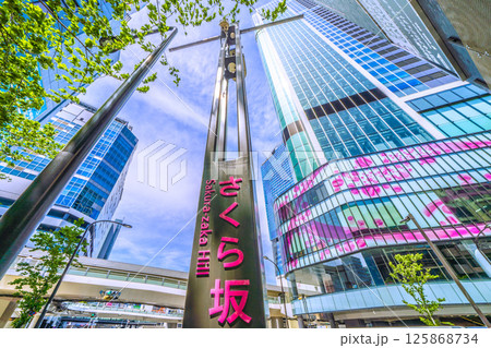 日本の東京都市景観 5月、渋谷駅前。新緑のさくら坂や渋谷サクラステージSHIBUYAタワーなどを望む 125868734