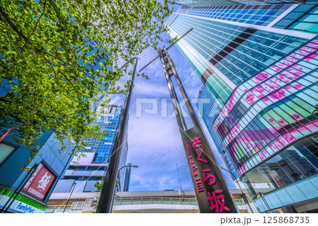 日本の東京都市景観 5月、渋谷駅前。新緑のさくら坂や渋谷サクラステージSHIBUYAタワーなどを望む 125868735