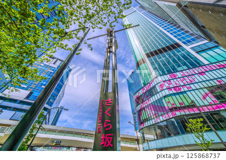 日本の東京都市景観 5月、渋谷駅前。新緑のさくら坂や渋谷サクラステージSHIBUYAタワーなどを望む 125868737
