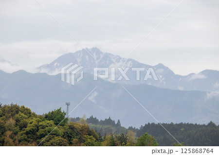 雨に煙る春の朝の大山 125868764