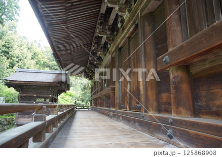 三井寺金堂廊下と閼伽井屋 三井寺金堂廊下と閼伽井屋 125868908