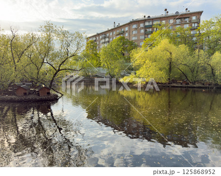 Calm urban pond with floating duck houses and trees in fresh green foliage, reflected in the still water on a spring day. Peaceful scene combining nature and residential surroundings 125868952