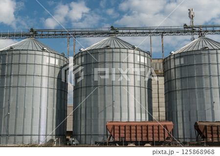 Large metallic silos are aligned in an industrial farm area, showcasing grain storage facilities under a bright blue sky Large metallic silos are aligned in an industrial farm area, showcasing grain storage facilities under a bright blue sky 125868968