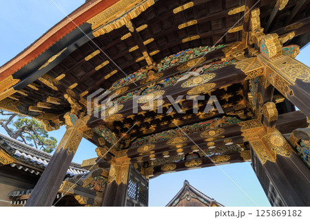 京都 二条城の唐門と二の丸御殿 (京都府京都市中京区) 京都 二条城の唐門と二の丸御殿 (京都府京都市中京区) 125869182