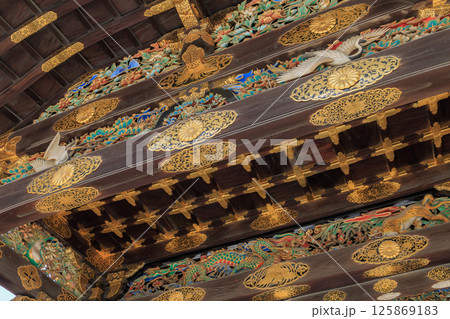 京都 二条城の唐門 (京都府京都市中京区) 125869183