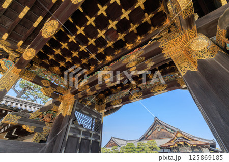 京都 二条城の唐門と二の丸御殿 (京都府京都市中京区) 125869185