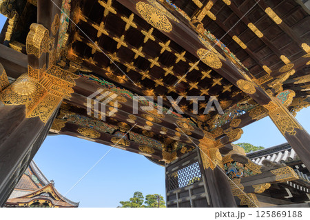 京都 二条城の唐門と二の丸御殿 (京都府京都市中京区) 125869188