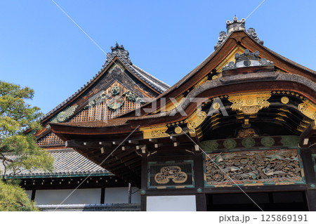 京都 二条城の二の丸御殿 (京都府京都市中京区) 京都 二条城の二の丸御殿 (京都府京都市中京区) 125869191