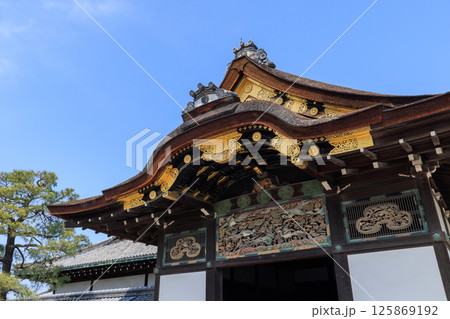 京都 二条城の二の丸御殿 (京都府京都市中京区) 125869192
