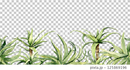 Watercolor aloe vera plants border with green tropical succulents on white background Watercolor aloe vera plants border with green tropical succulents on white background 125869196