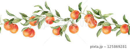 Seamless horizontal border or banner tropical grapefruit. Hand drawn watercolor illustration on white isolated background. Citrus pattern for frame or banner. Fruit with green leaves Seamless horizontal border or banner tropical grapefruit. Hand drawn watercolor illustration on white isolated background. Citrus pattern for frame or banner. Fruit with green leaves 125869281