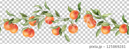 Seamless horizontal border or banner tropical grapefruit. Hand drawn watercolor illustration on white isolated background. Citrus pattern for frame or banner. Fruit with green leaves Seamless horizontal border or banner tropical grapefruit. Hand drawn watercolor illustration on white isolated background. Citrus pattern for frame or banner. Fruit with green leaves 125869281