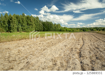 Plowed rural field in front of green forest and white clouds on blue sky 125869331