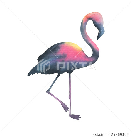 Vibrant watercolor flamingo silhouette, hand-painted in bold tropical hues. Perfect for wildlife designs, beach branding, and exotic-themed projects as standalone element. Vibrant watercolor flamingo silhouette, hand-painted in bold tropical hues. Perfect for wildlife designs, beach branding, and exotic-themed projects as standalone element. 125869395