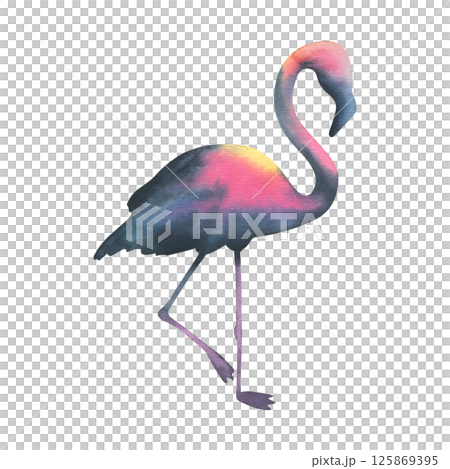 Vibrant watercolor flamingo silhouette, hand-painted in bold tropical hues. Perfect for wildlife designs, beach branding, and exotic-themed projects as standalone element. Vibrant watercolor flamingo silhouette, hand-painted in bold tropical hues. Perfect for wildlife designs, beach branding, and exotic-themed projects as standalone element. 125869395