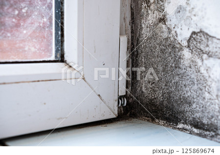 Fungus destroys the house. Dirt, infection, unsanitary conditions Fungus destroys the house. Dirt, infection, unsanitary conditions 125869674