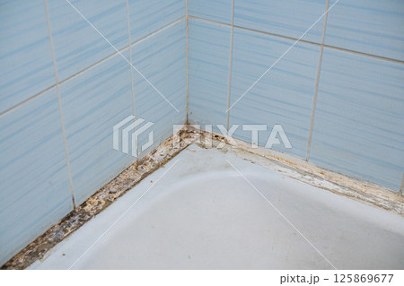Black mold and fungus on tiles in a bathroom. Black mold and fungus on tiles in a bathroom. 125869677