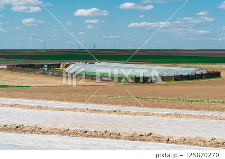 A large greenhouse in the field is enclosed by a wooden fence. A large greenhouse in the field is enclosed by a wooden fence. 125870270