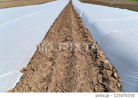 Two large greenhouses in the field Two large greenhouses in the field 125870358