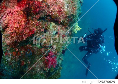 海底の風景 海底の風景 125870629