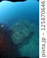 海底の風景 125870646